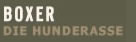 Allgemeines zur Hunderasse Boxer